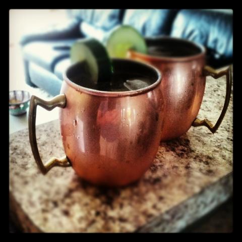 Picture of Hendrick's Mule (JMW's)